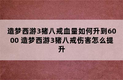 造梦西游3猪八戒血量如何升到6000 造梦西游3猪八戒伤害怎么提升